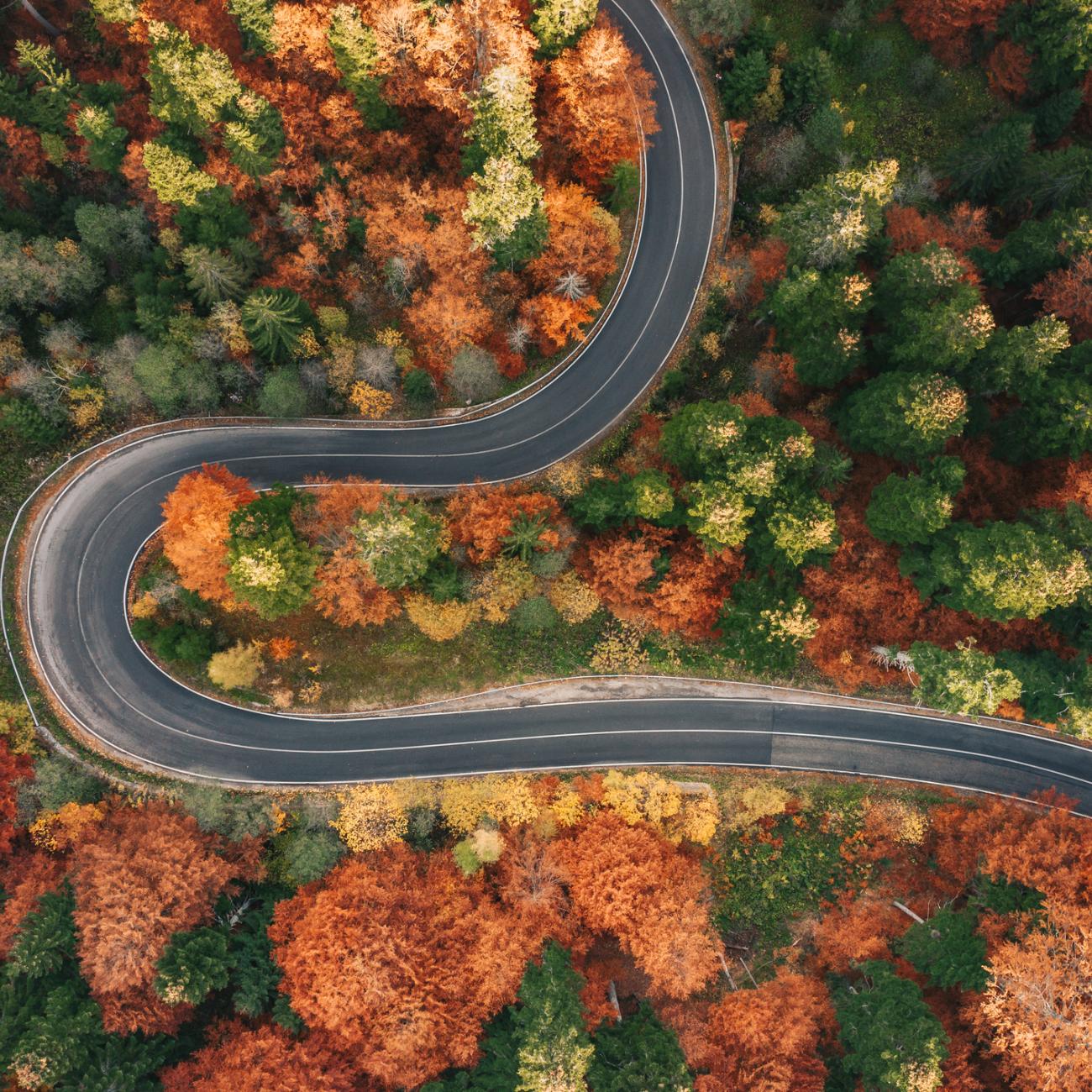 Vishal Sahody: My Story