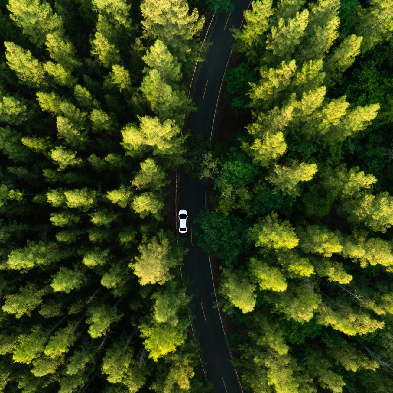 Vishal Sahody: Let's connect